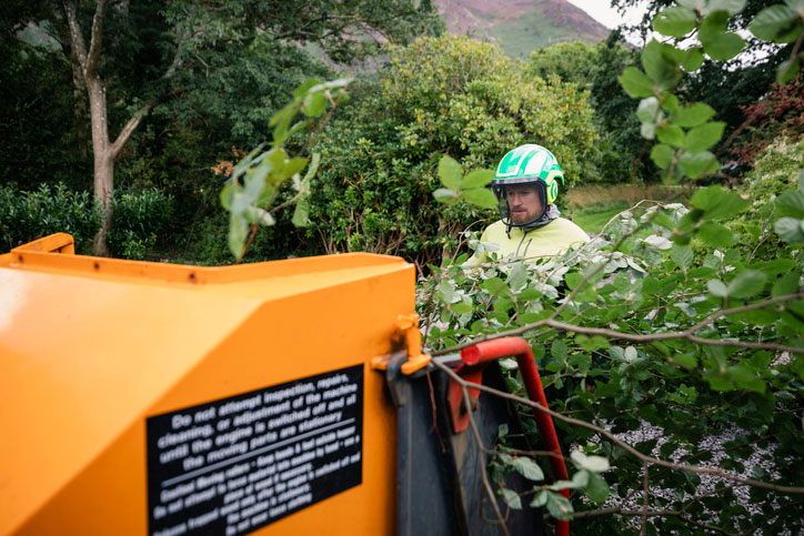 land clearing service baytown tx